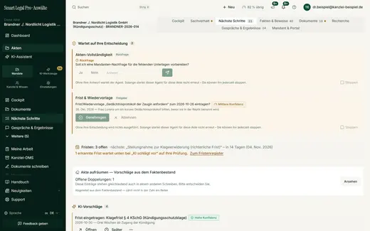 Nächste Schritte: Entscheidungen, Fristen und Vorschläge der Akte