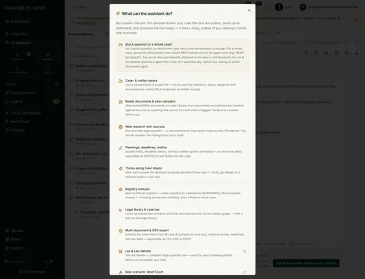 The overview explains how the assistant works with case files and documents, supports statements, brings in web sources, drafts pleadings and queries registers.