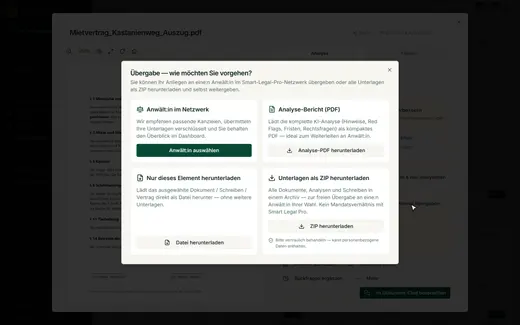 Übergabe an einen Anwalt: Netzwerk, Analyse-PDF oder ZIP – Sie wählen den Weg