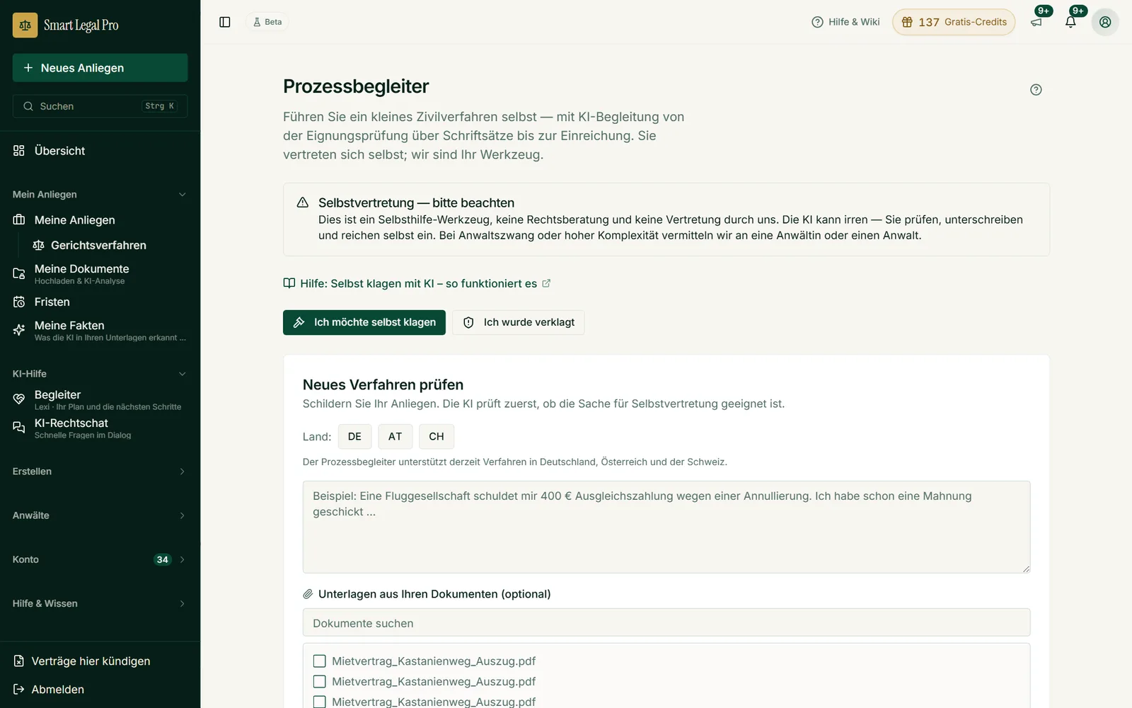 Der Prozessbegleiter prüft zuerst, ob sich Ihre Sache für Selbstvertretung eignet, und begleitet bis zur Einreichung.