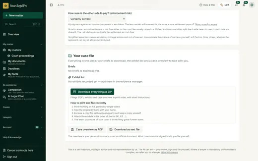 Pleadings, exhibit index and proceedings overview can be downloaded as a ZIP or printed, with instructions.