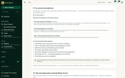 The case file explains the ways a private person can file with the court and provides a checklist to tick off. Filing is done by you yourself, not by us.
